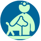 veterinario